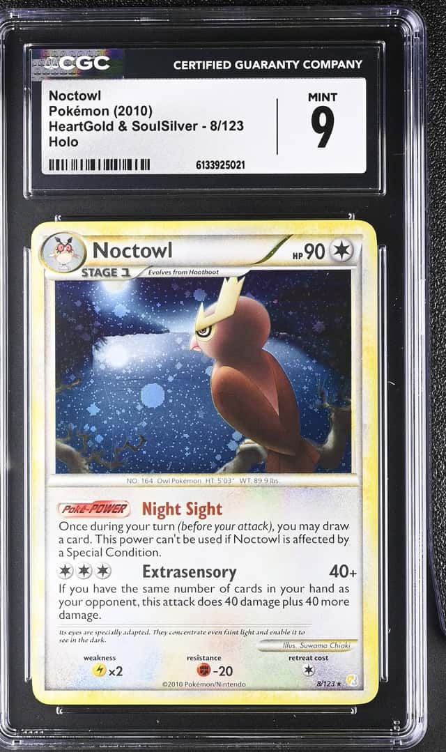 Noctowl