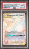 Raichu & Alolan Raichu Gx