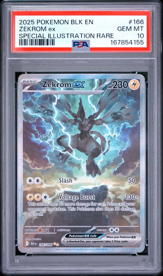 ZEKROM ex
