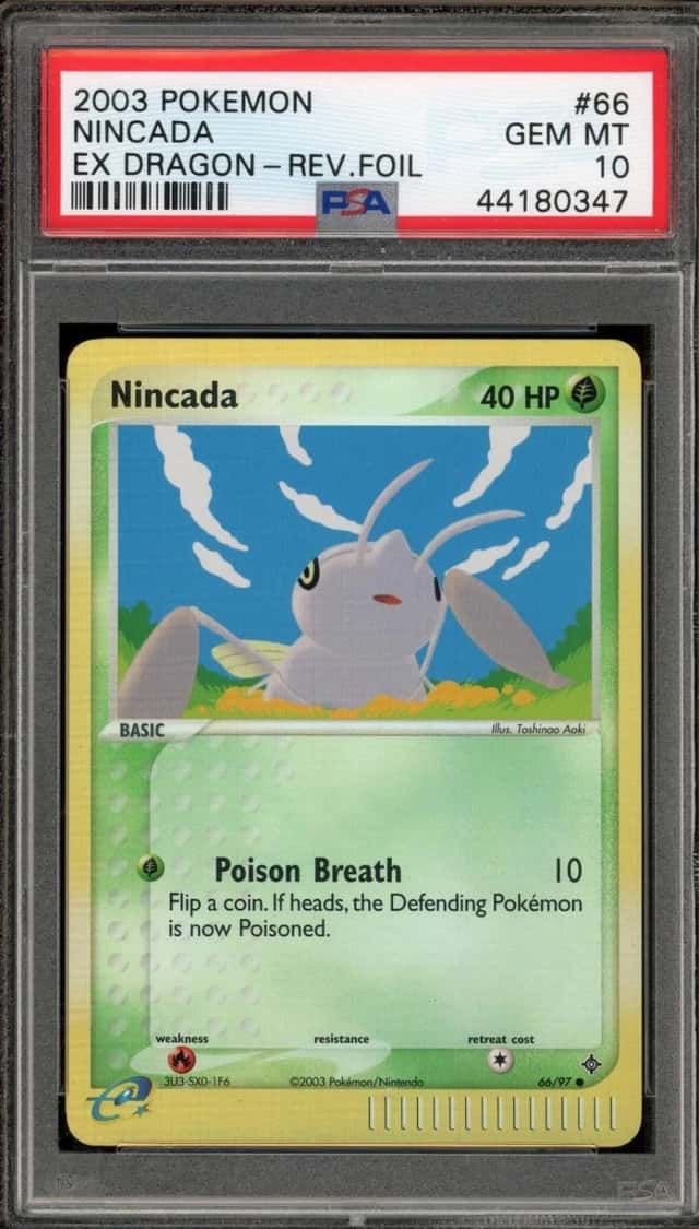 Nincada