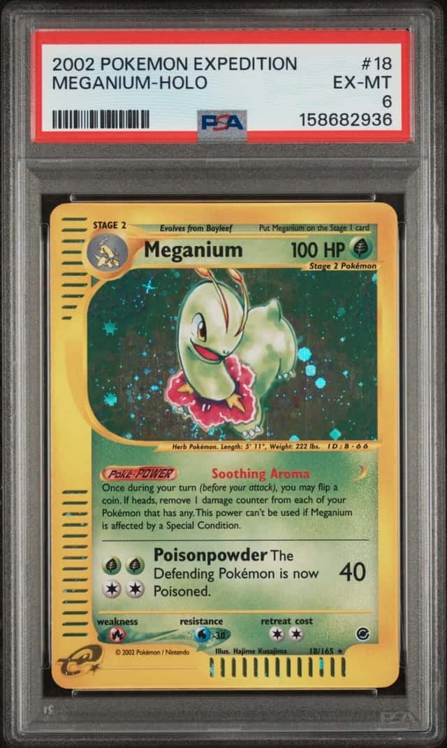 Meganium