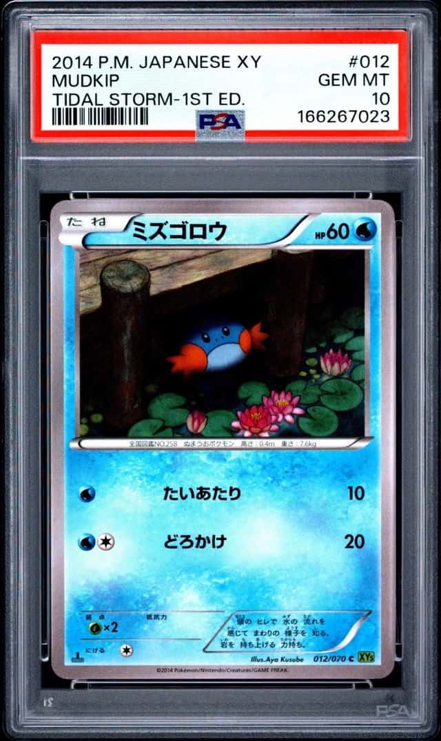 Mudkip
