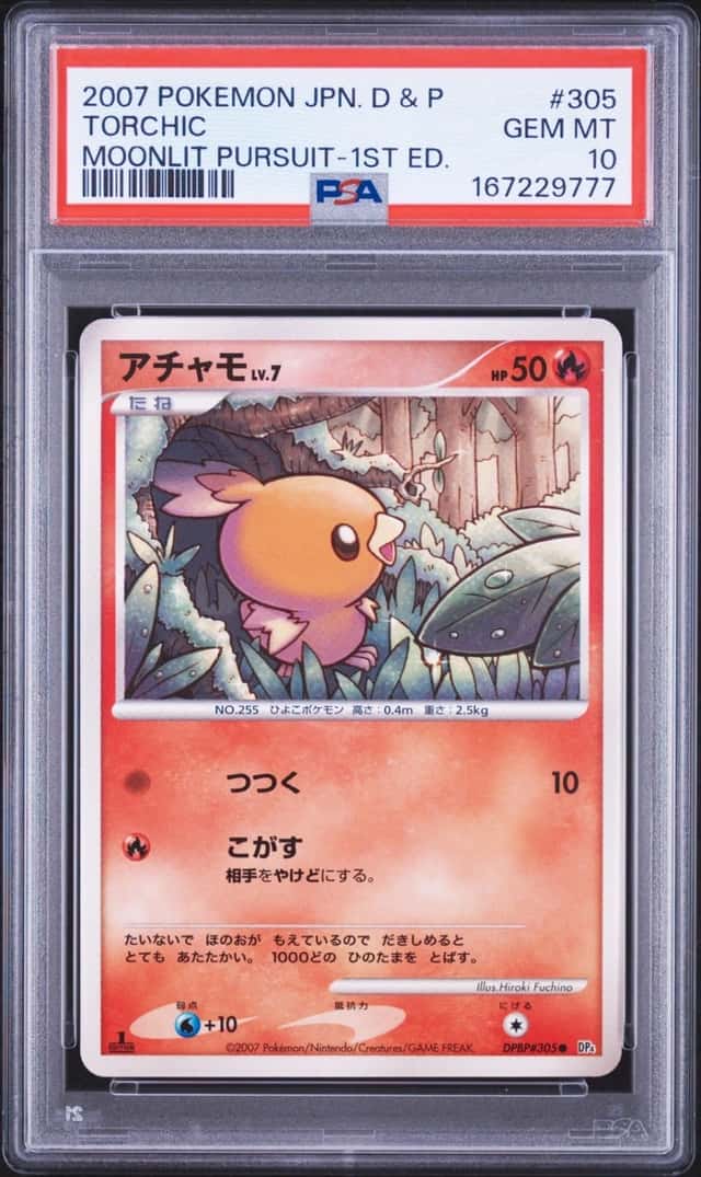 Torchic