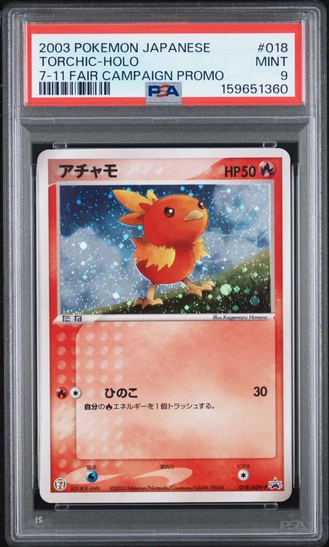 Torchic