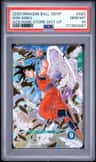 Son Goku