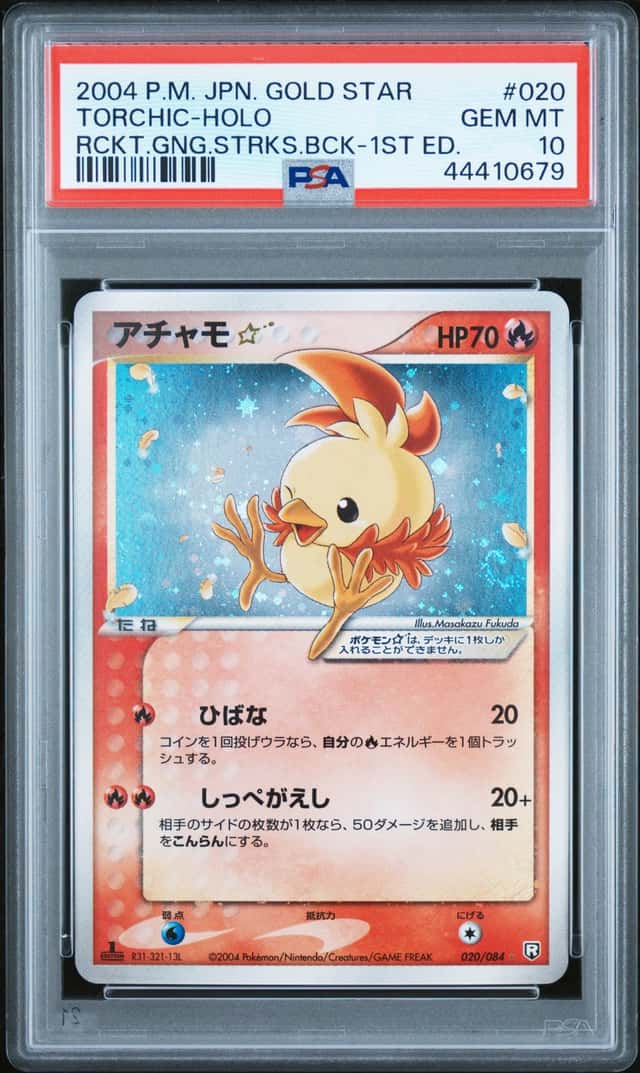 Torchic