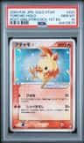 Torchic