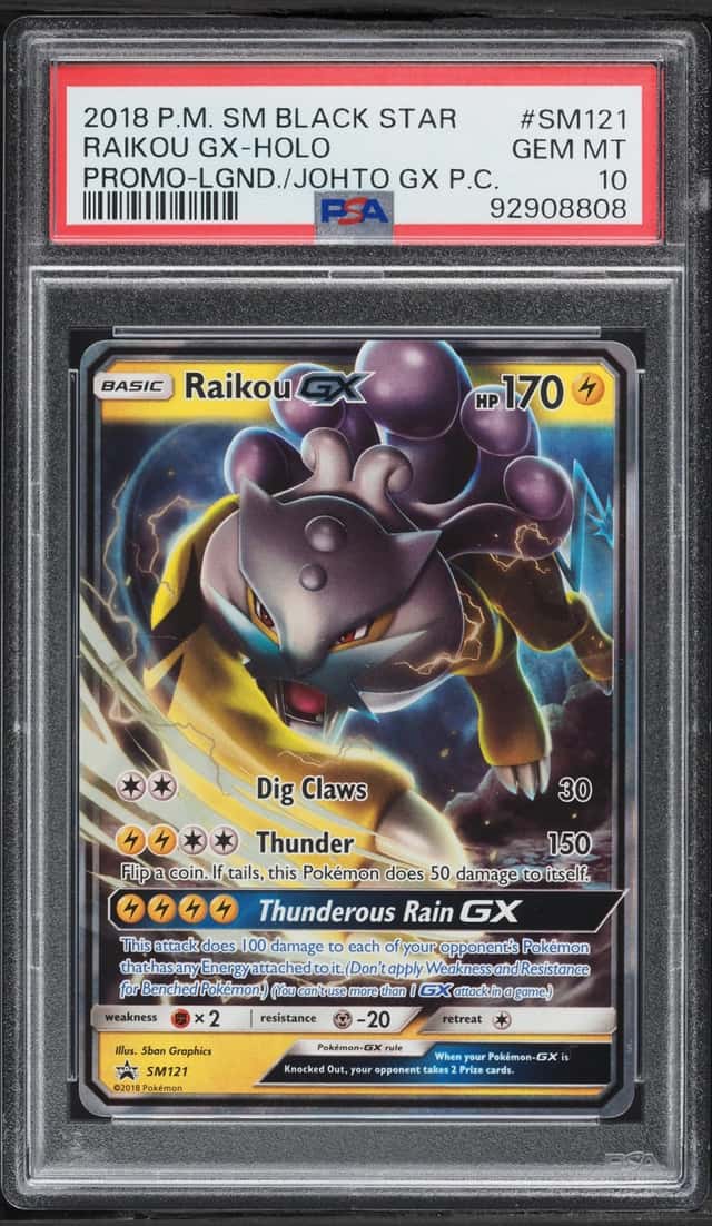 Raikou GX