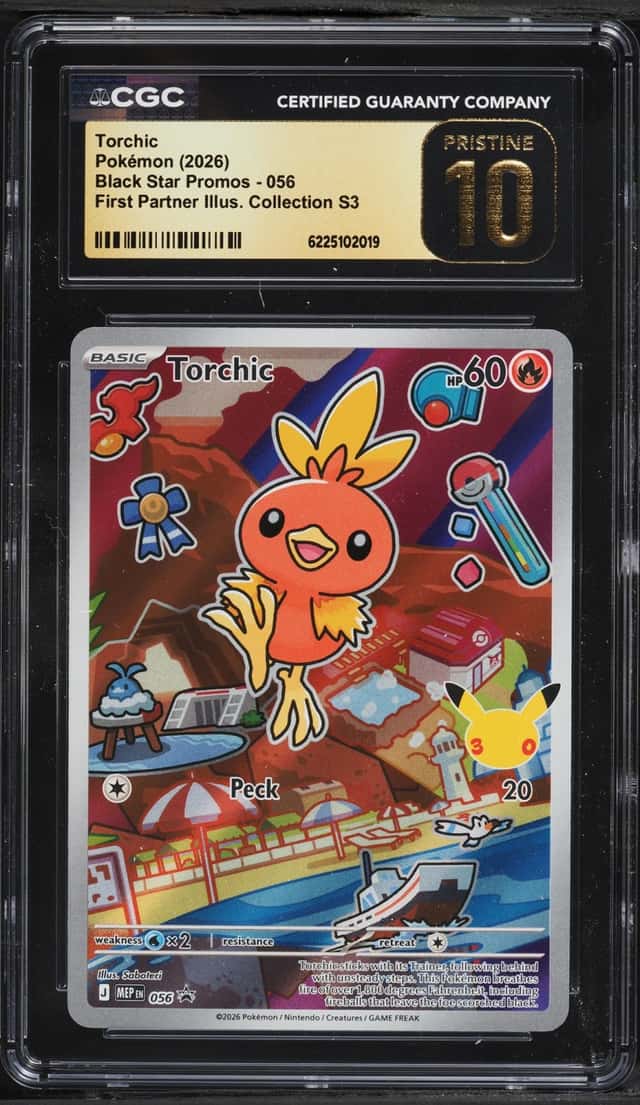 Torchic