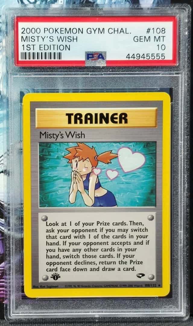 Misty's Wish