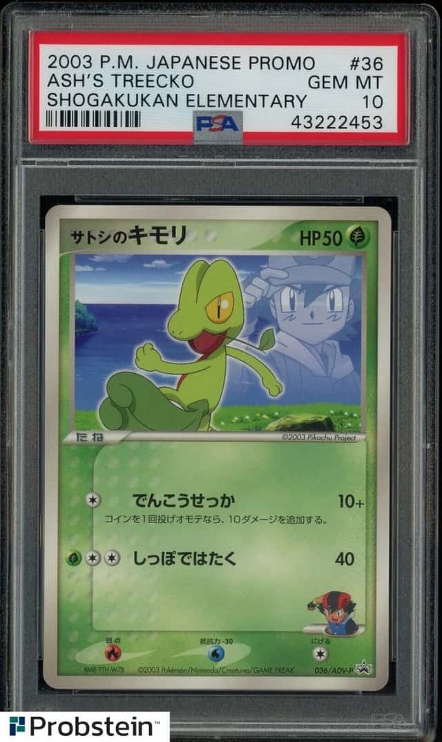 Ash's Treecko