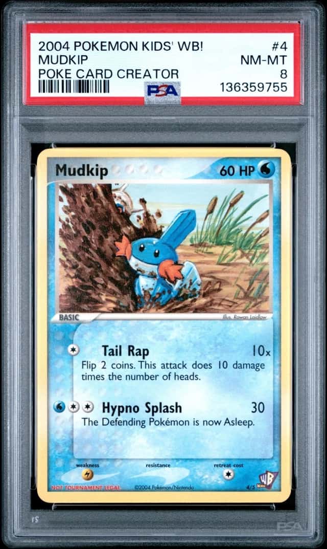 Mudkip