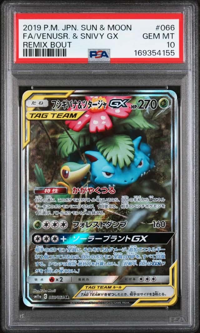 Venusaur & Snivy GX