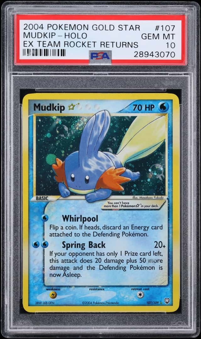 Mudkip