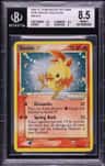 Torchic