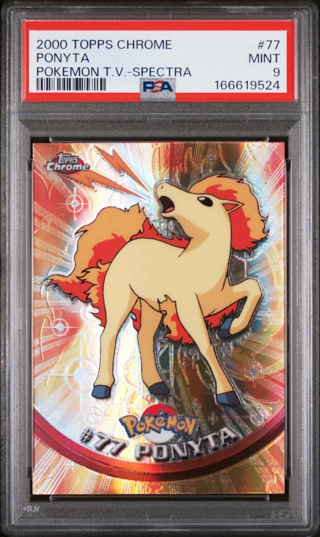 Ponyta