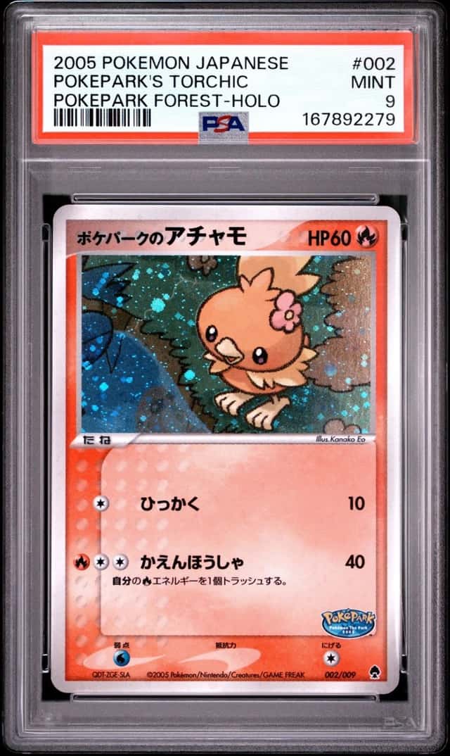 Pokepark's Torchic