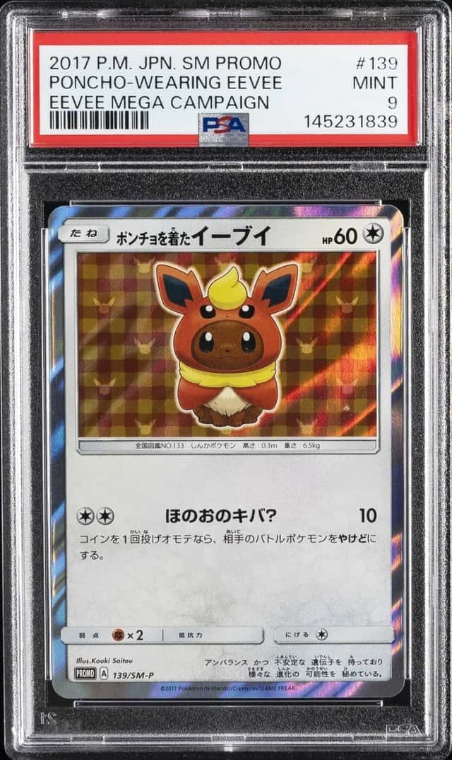 Poncho-Wearing Eevee