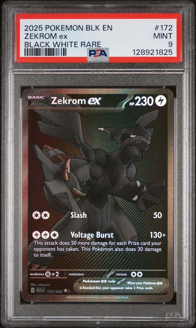 ZEKROM ex