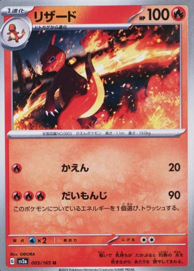 Holo