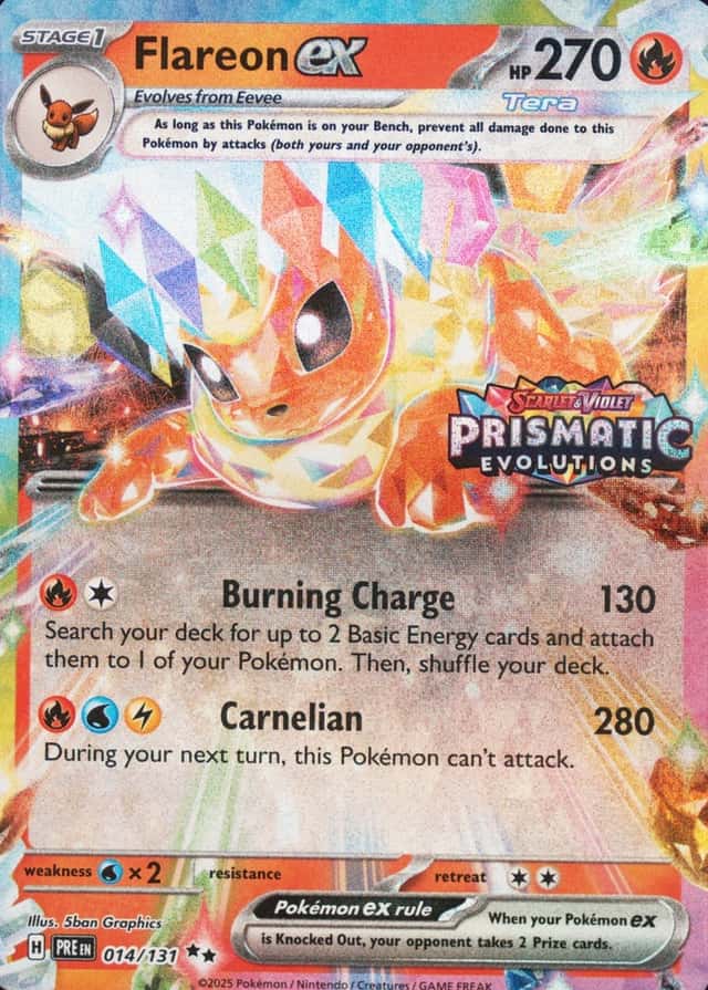 Holo · Box Exclusive Surprise