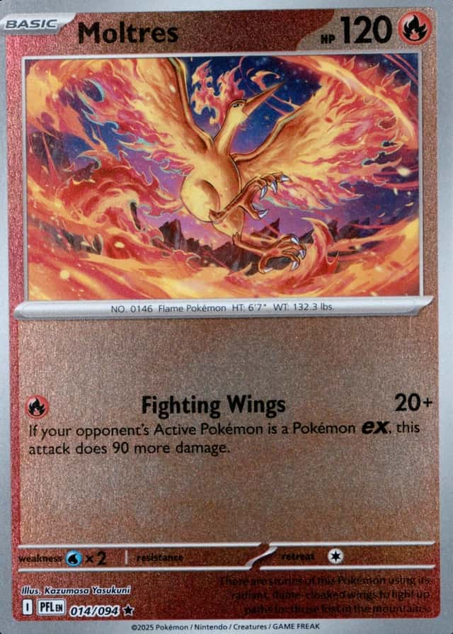 Reverse Holo