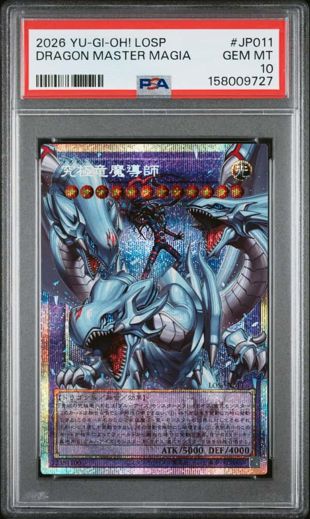 Dragon Master Magia
