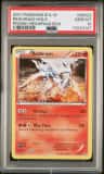 Reshiram