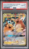 Raichu & Alolan Raichu Gx