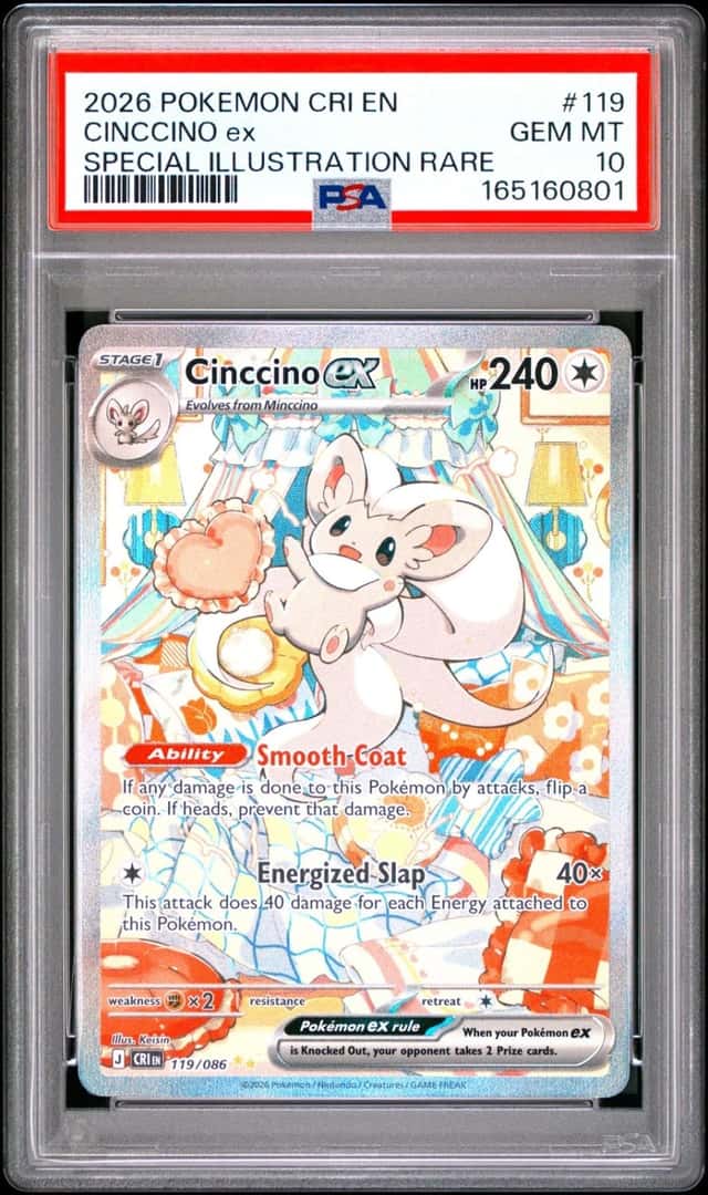 CINCCINO ex