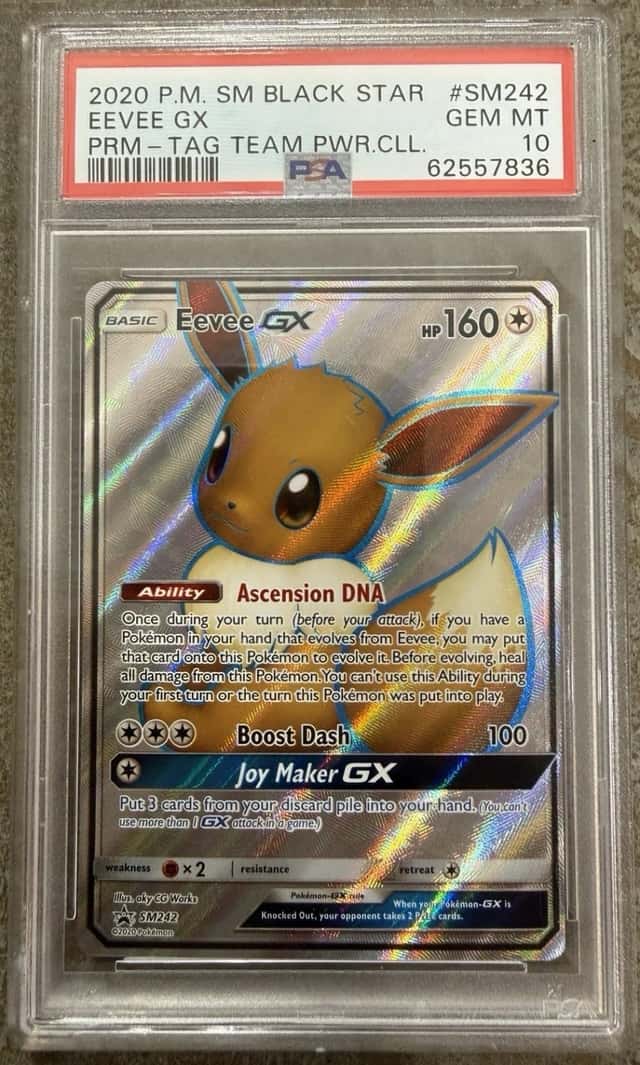 Eevee GX