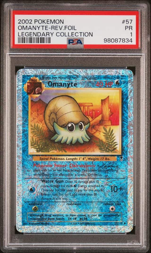 Omanyte