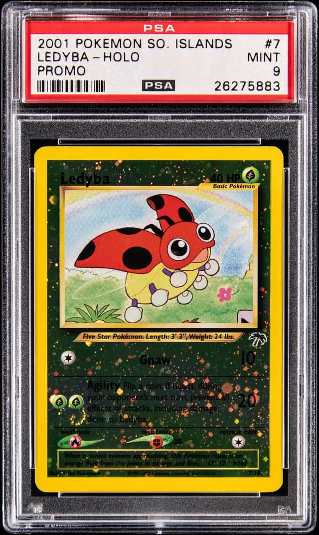 Ledyba