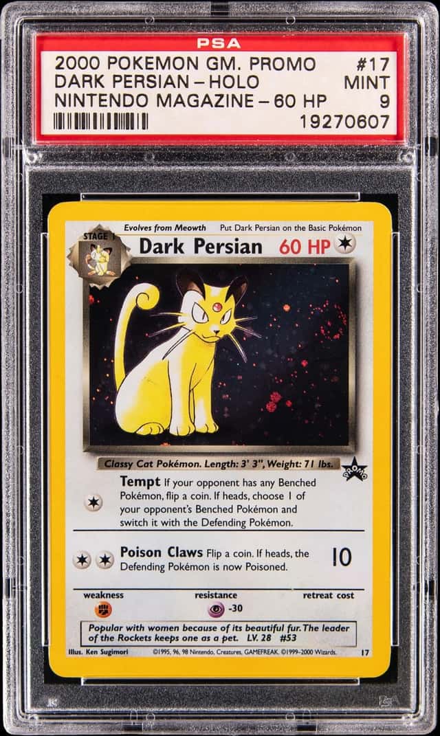 Dark Persian