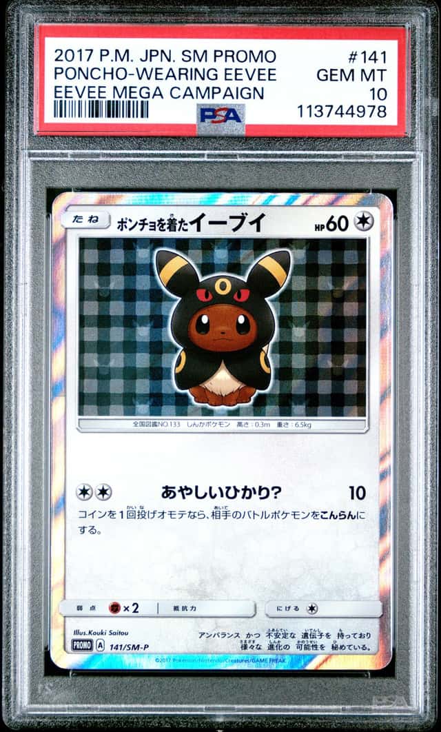 Poncho-Wearing Eevee