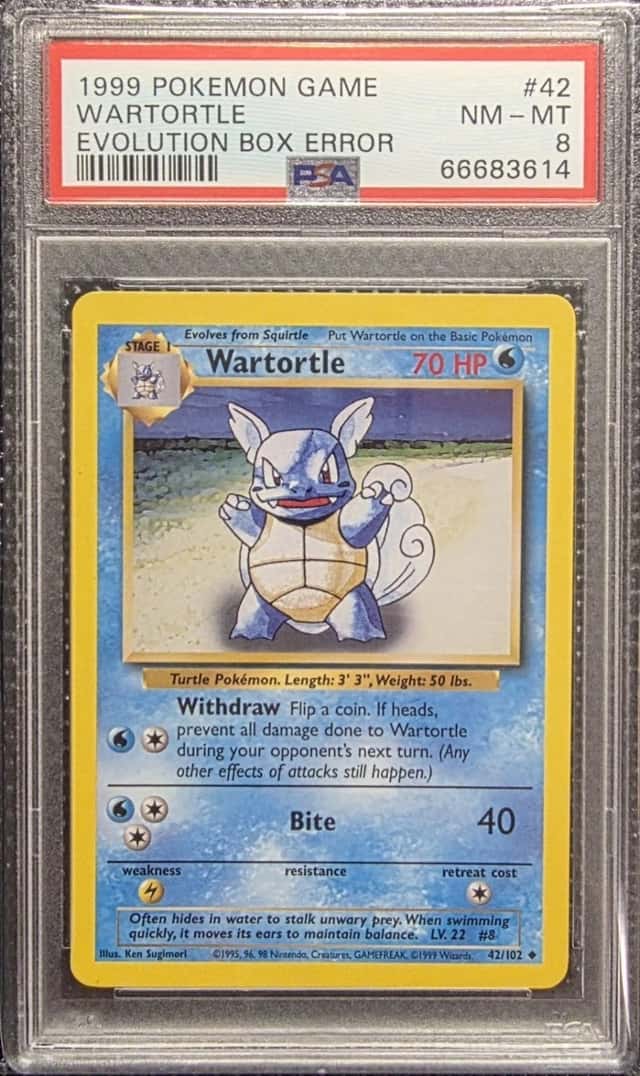 Wartortle