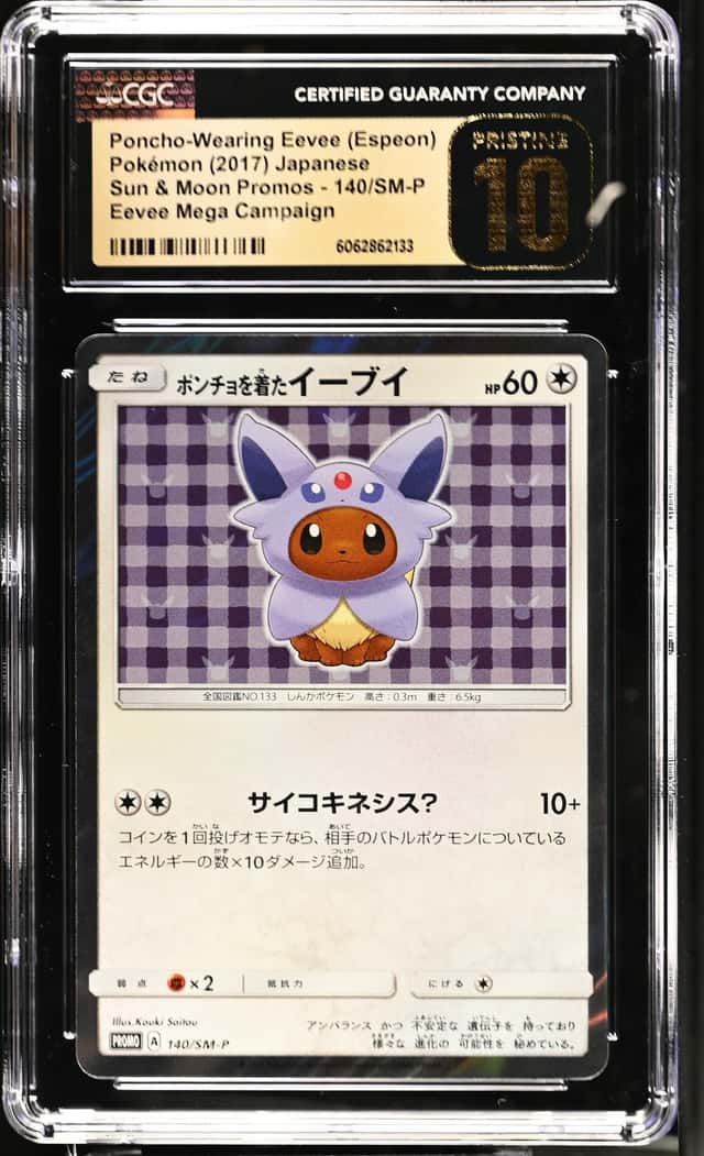 Poncho-Wearing Eevee