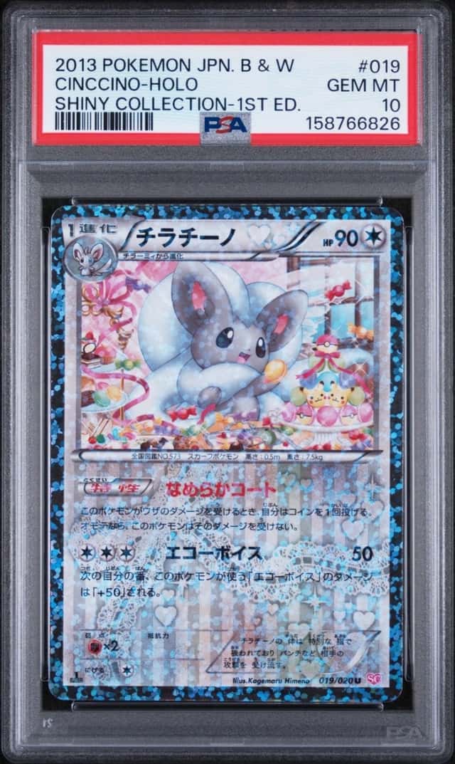 Cinccino