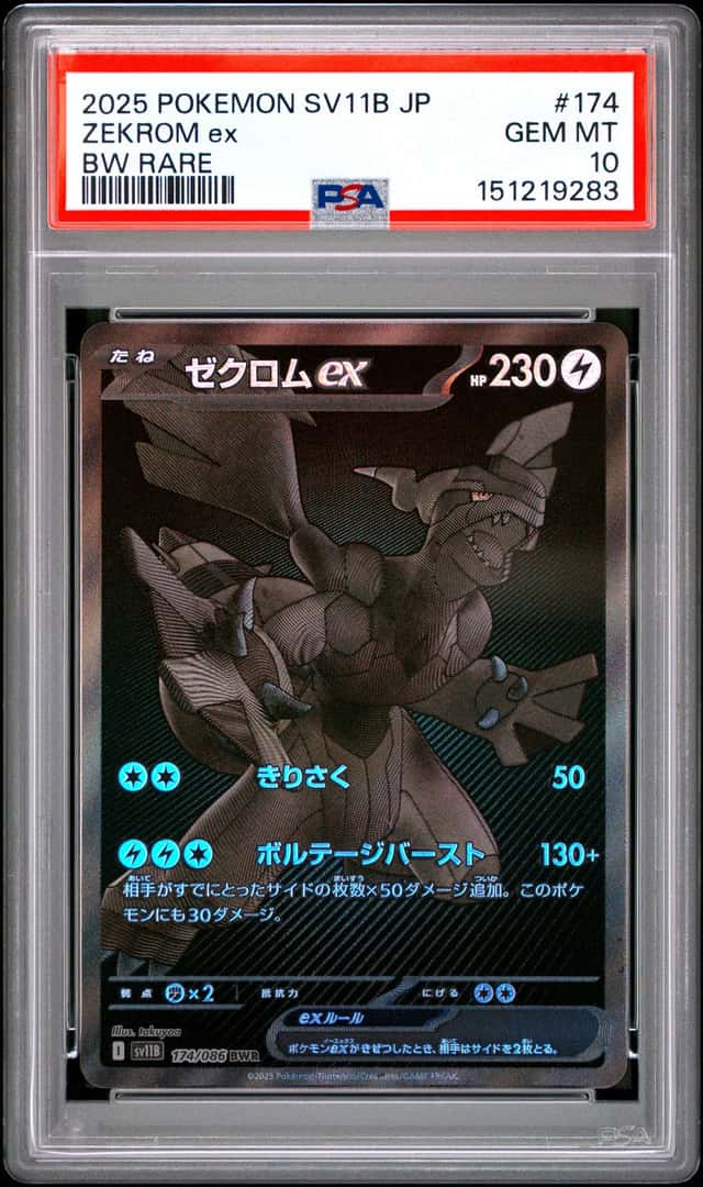 ZEKROM ex