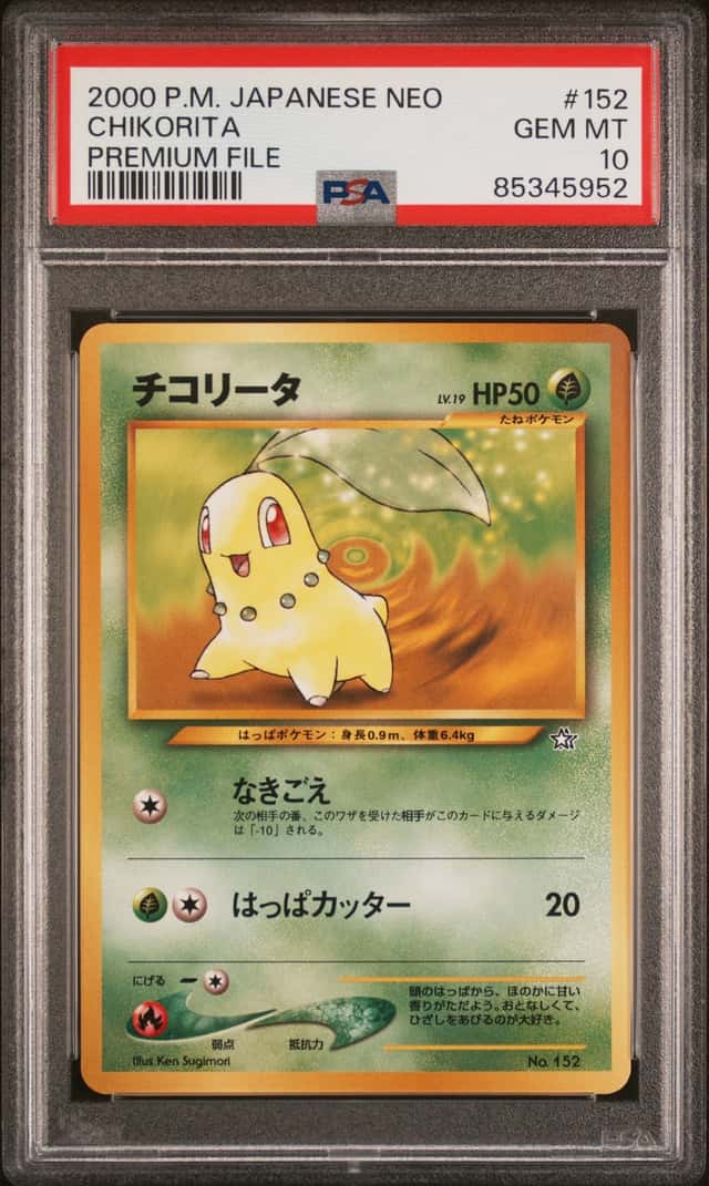 Chikorita