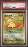 Chikorita