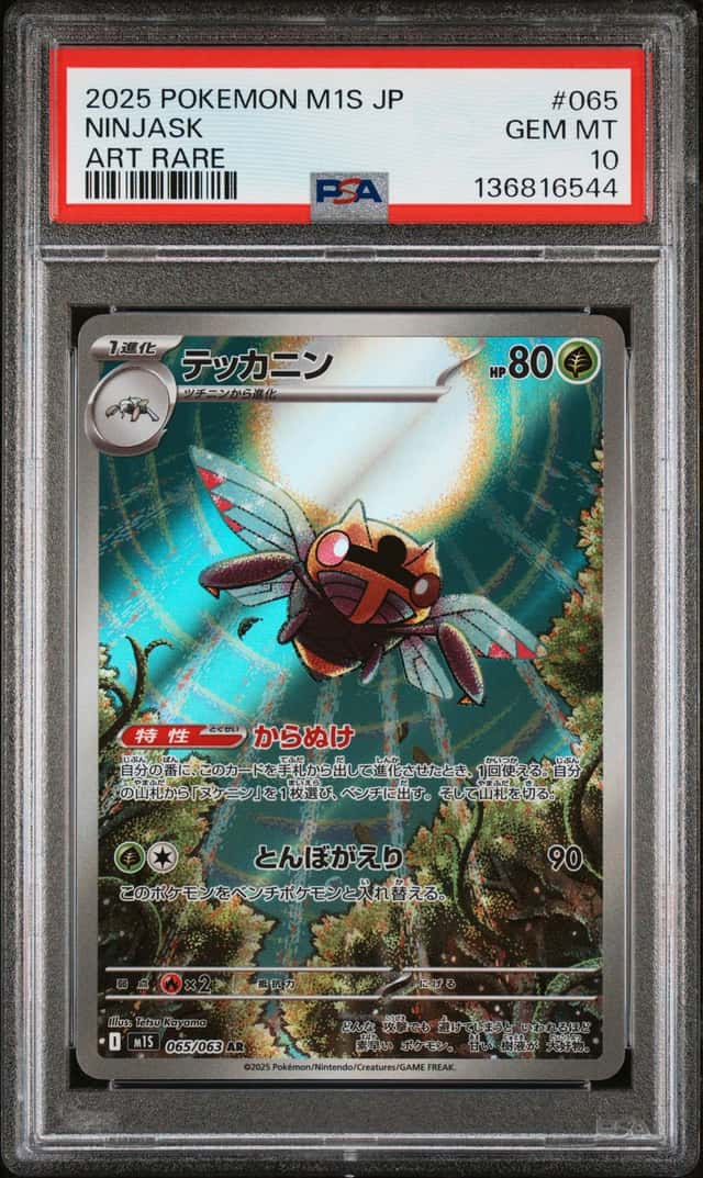 Ninjask