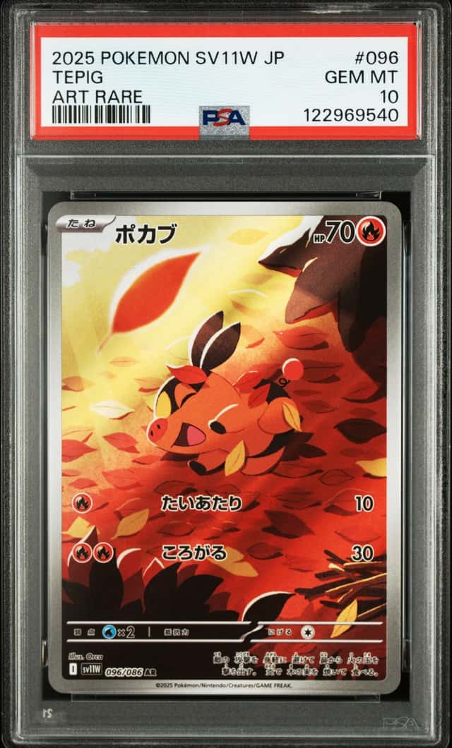 Tepig