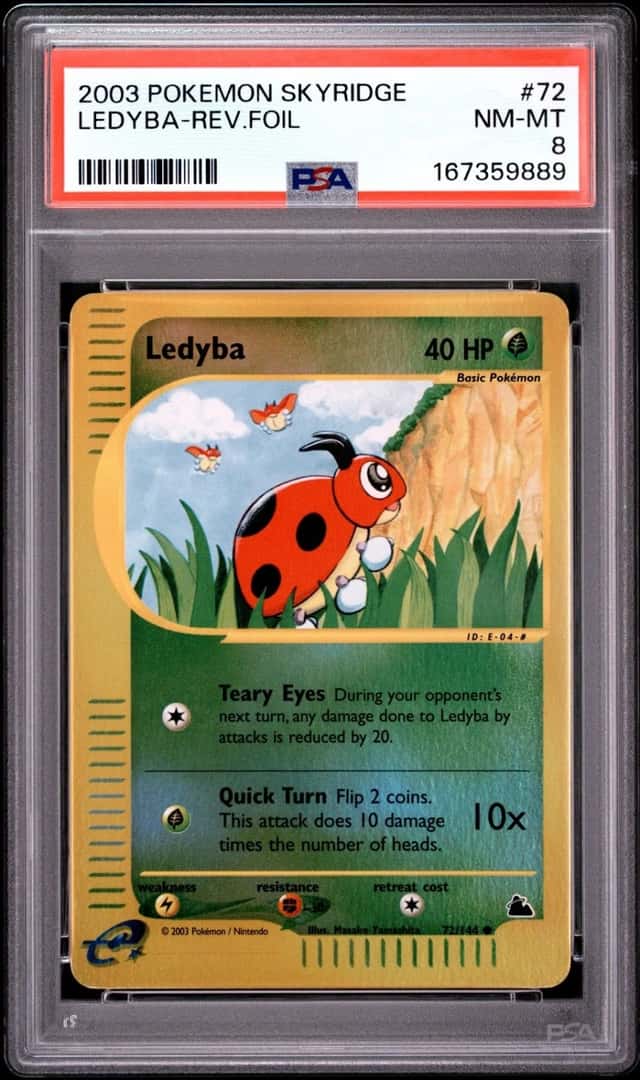 Ledyba