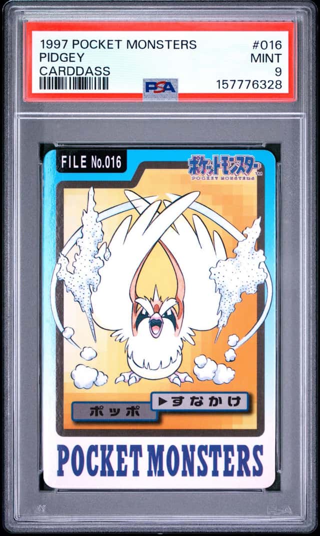 Pidgey