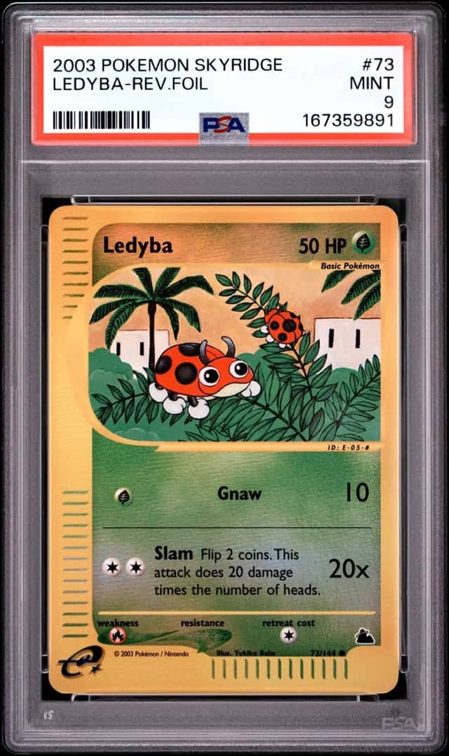 Ledyba