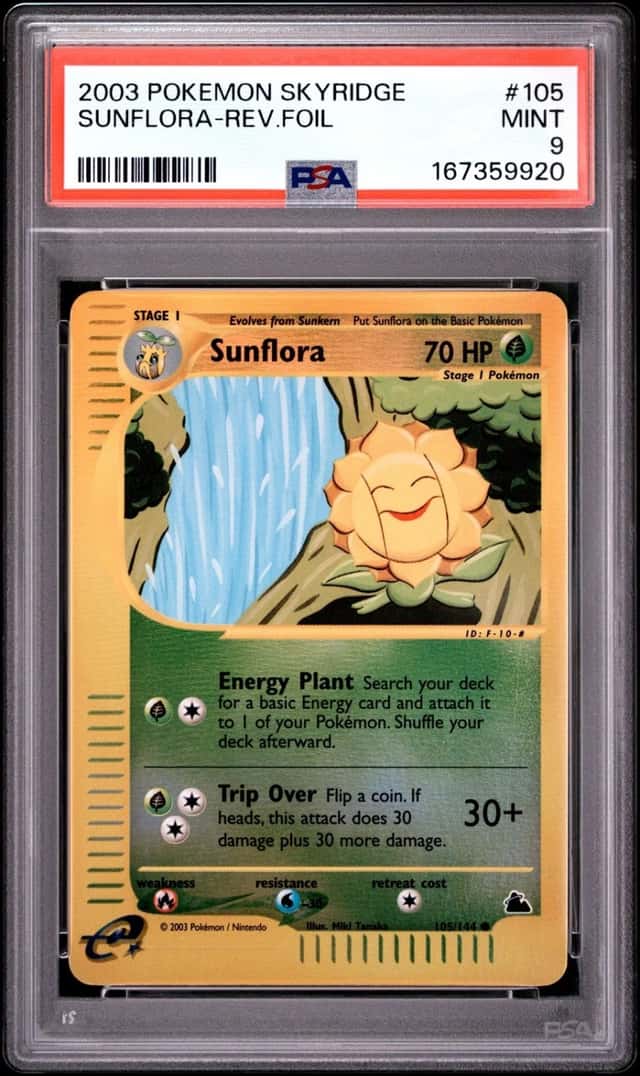 Sunflora
