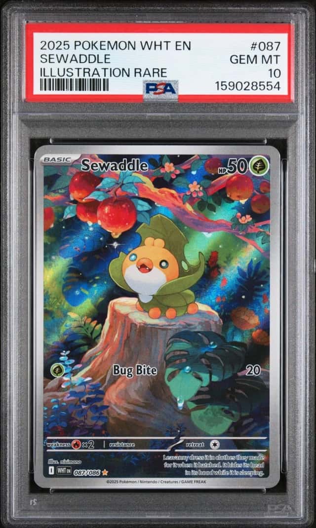 Sewaddle