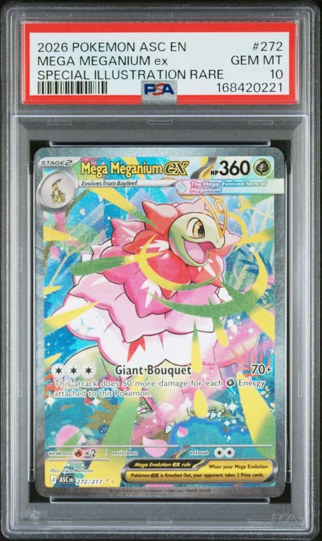 MEGA MEGANIUM ex