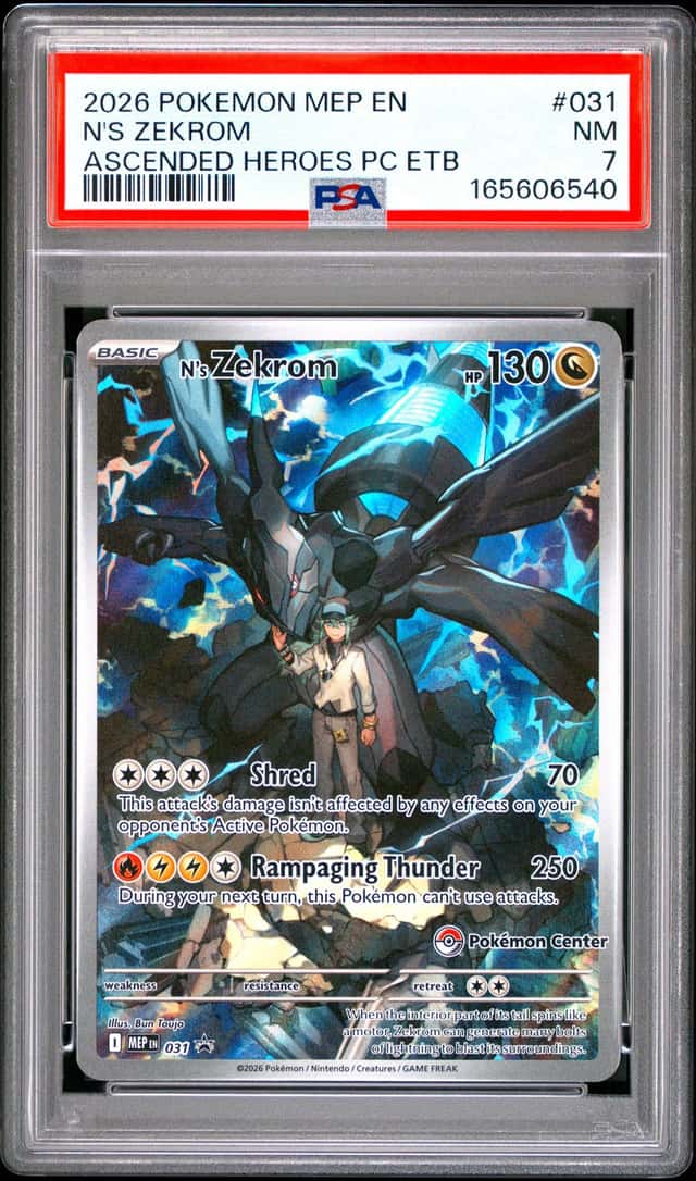 N's Zekrom